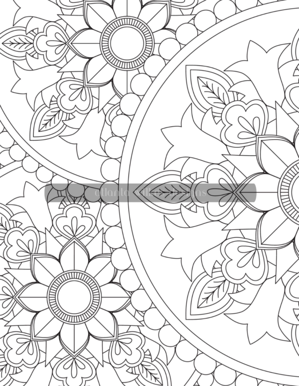 Mandala Madness Volume 2 Coloring Book Download - Image 11