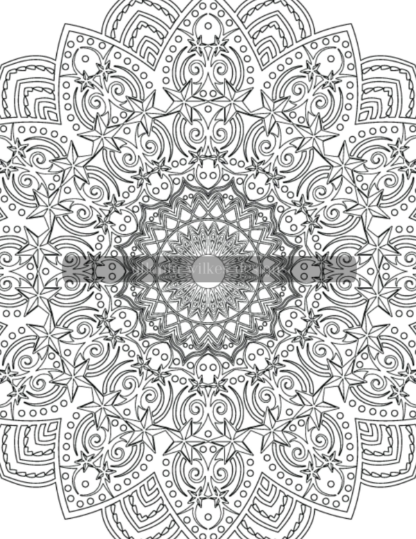 Mandala Madness Volume 3 Coloring Book Download - Image 3