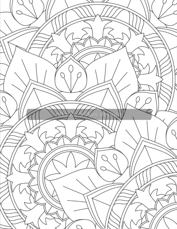 Mandala Madness Volume 3 Coloring Book Download - Image 4